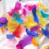 Vibrant mixed colors (shoot at 100x magnification)