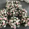 Pink-2
