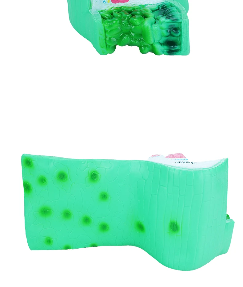 product sciedu teaching equipment biology model leaf structure anatomy model plant cell model teaching aid-6