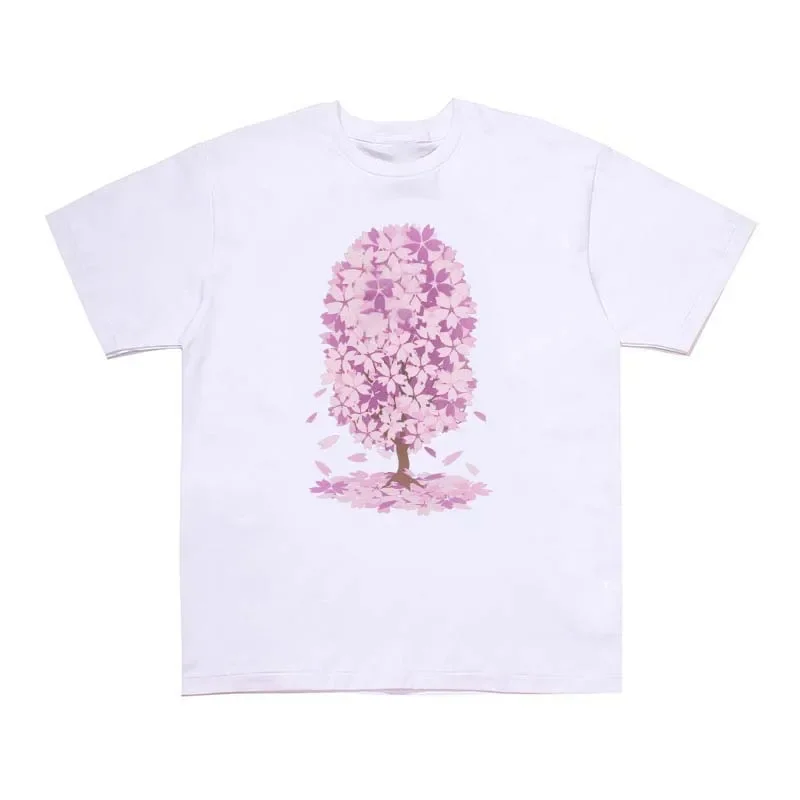 SKU _24