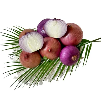 Fresh Red Onion