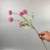 Púrpura