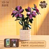 ลิลลี่ 101-14