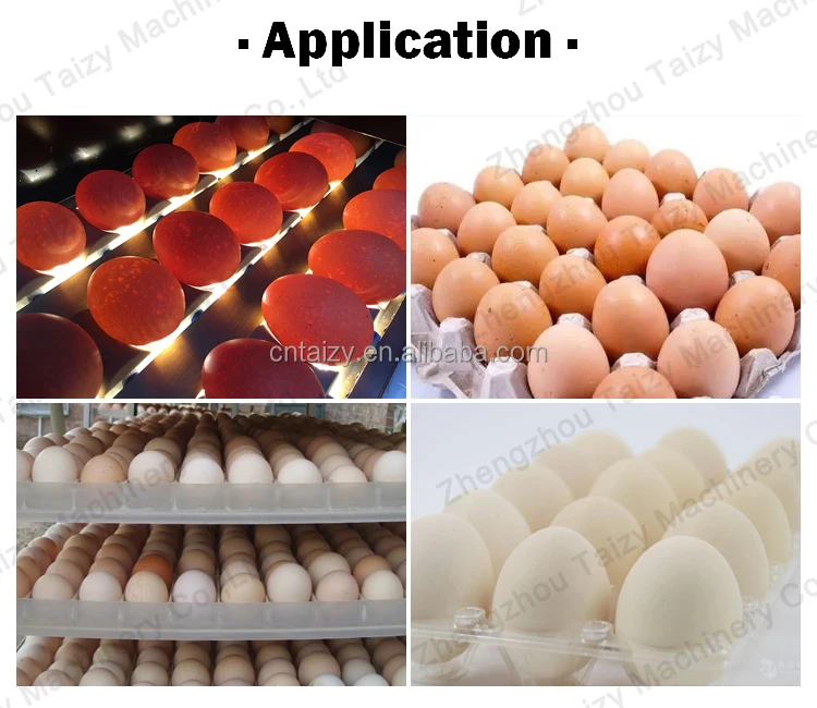 Lot 83 - Unique Egg Grading Scale.