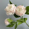 Rosa claro