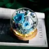 Estilo 13