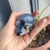 Cráneos de ágata volcánica de 6,5 cm