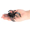 2983 Araña negra