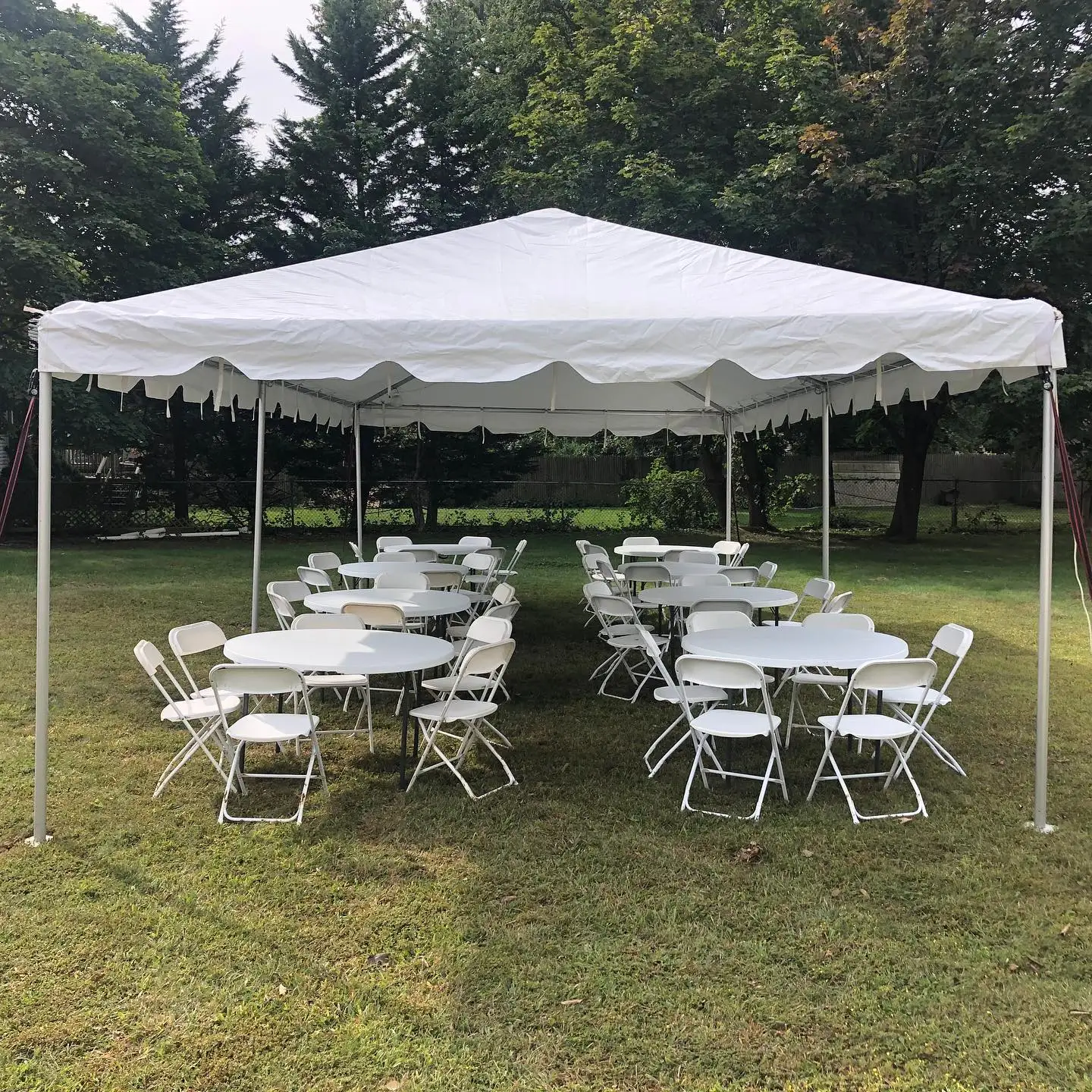 Celina Tent 10x20 Awesome Master Pvc Tent for Sale Party Trade Show Tents for Events Outdoor 10 ft X 20 ft (3 m X 6 M)
