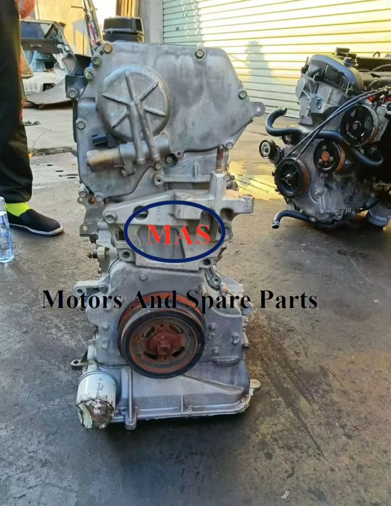 EVNNE パクハンビン 2024シーグリトレカ バラ売 EVNNE パクハンビン 2024シーグリトレカ バラ売 EVNNE パクハンビン