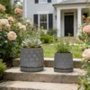Gris antique