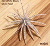 Bianco Nero Argento Glitter