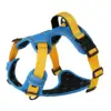 Azul + Amarillo