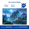 10-095 - The Castle's Night Sky