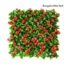 Bougainvillea Red
