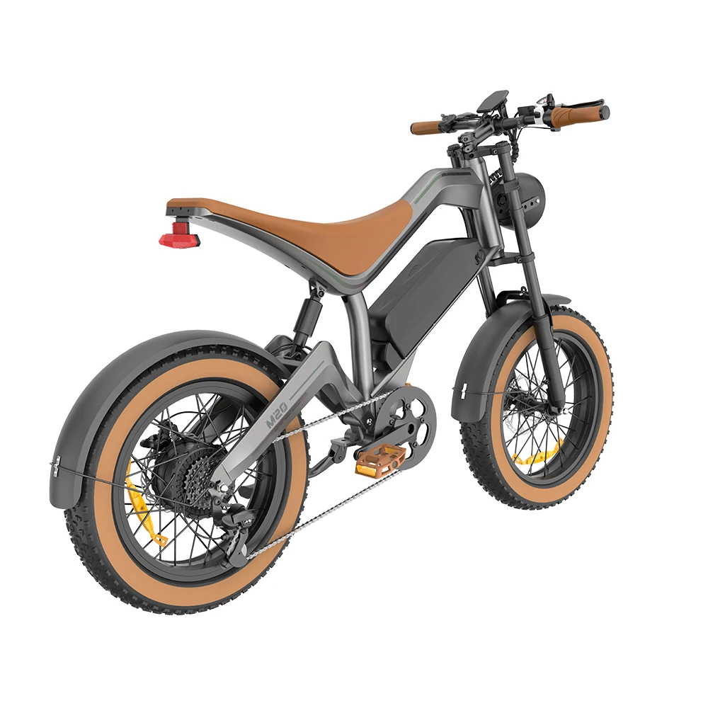 F-WHEEL M20 750W full suspension fat tire electric bike in side view