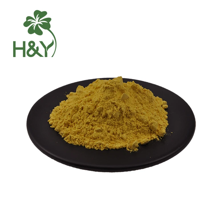 OEM Pumpkin Concentrate Extract Pumpkin Juice Powder Pumpkin Powder