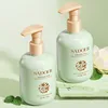Green Tea 05373