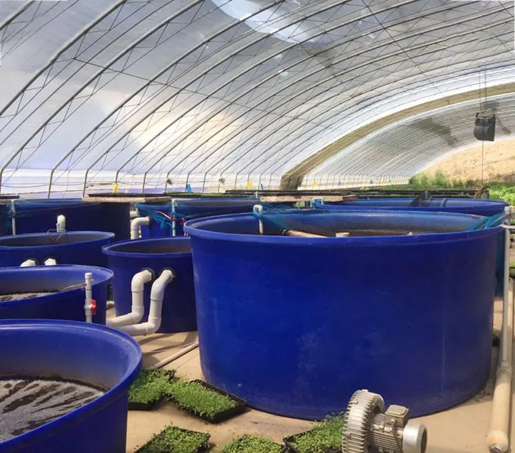 卸売 モダン ブルー 回転成形 大型 プラスチック池 水槽 魚タンク 価格