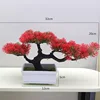 54# Pino Arborvitae, Big Red (12 rectangulares blancos)