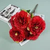Rose garance