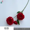 Dark Fragrance Y Red