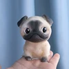 pug