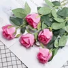 Snow Mountain Rose Red (20 pieces)