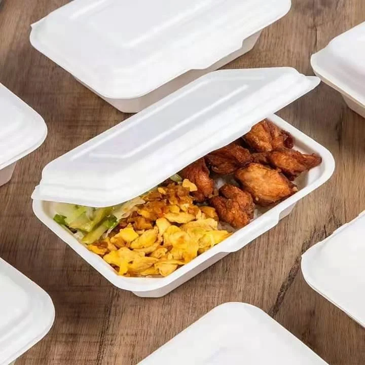 Disposable Meal Prep Bagasse Containers Fast Food Takeaway