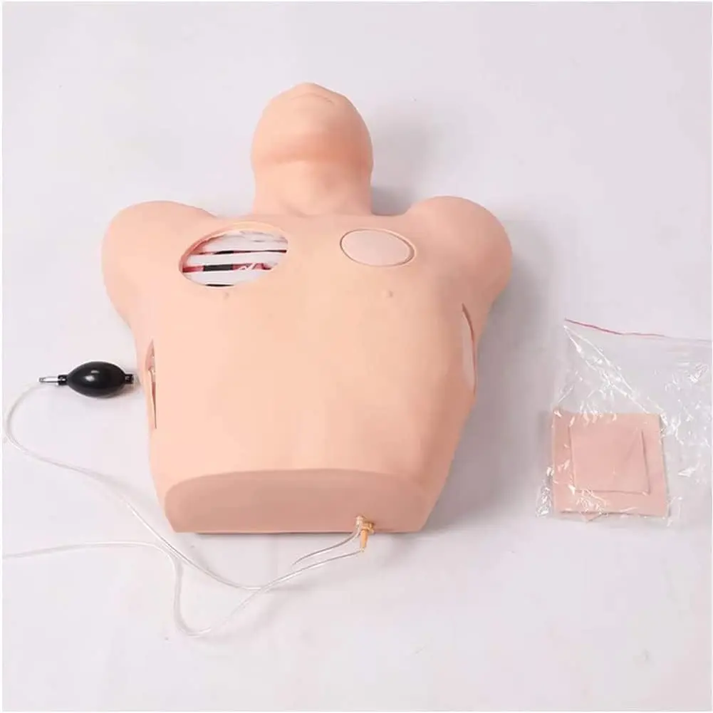 Human Pathological Anatomy Model Thoracic Pleural Drainage for Medical Science Teaching for Nurse Training and School Use