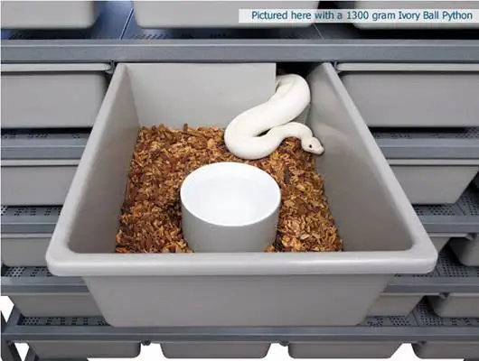 Picture of Eco-friendly Snake Feeding Tubs - Customized Thermoform