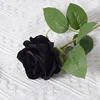 Velvet Rose [Night Black]