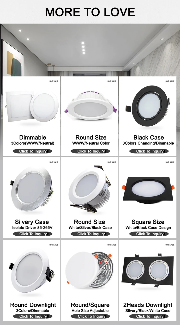 Downlight-More1.jpg