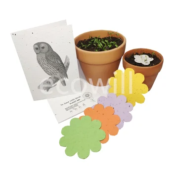 Plantable Brand Biodegradable Handmade Owl Seed Paper Greeting Card