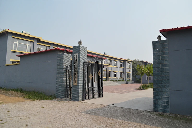 Qingdao Xuanyin Musical Instruments Co.,Ltd 1