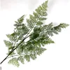 Podocarpus macrocarpus (light color)