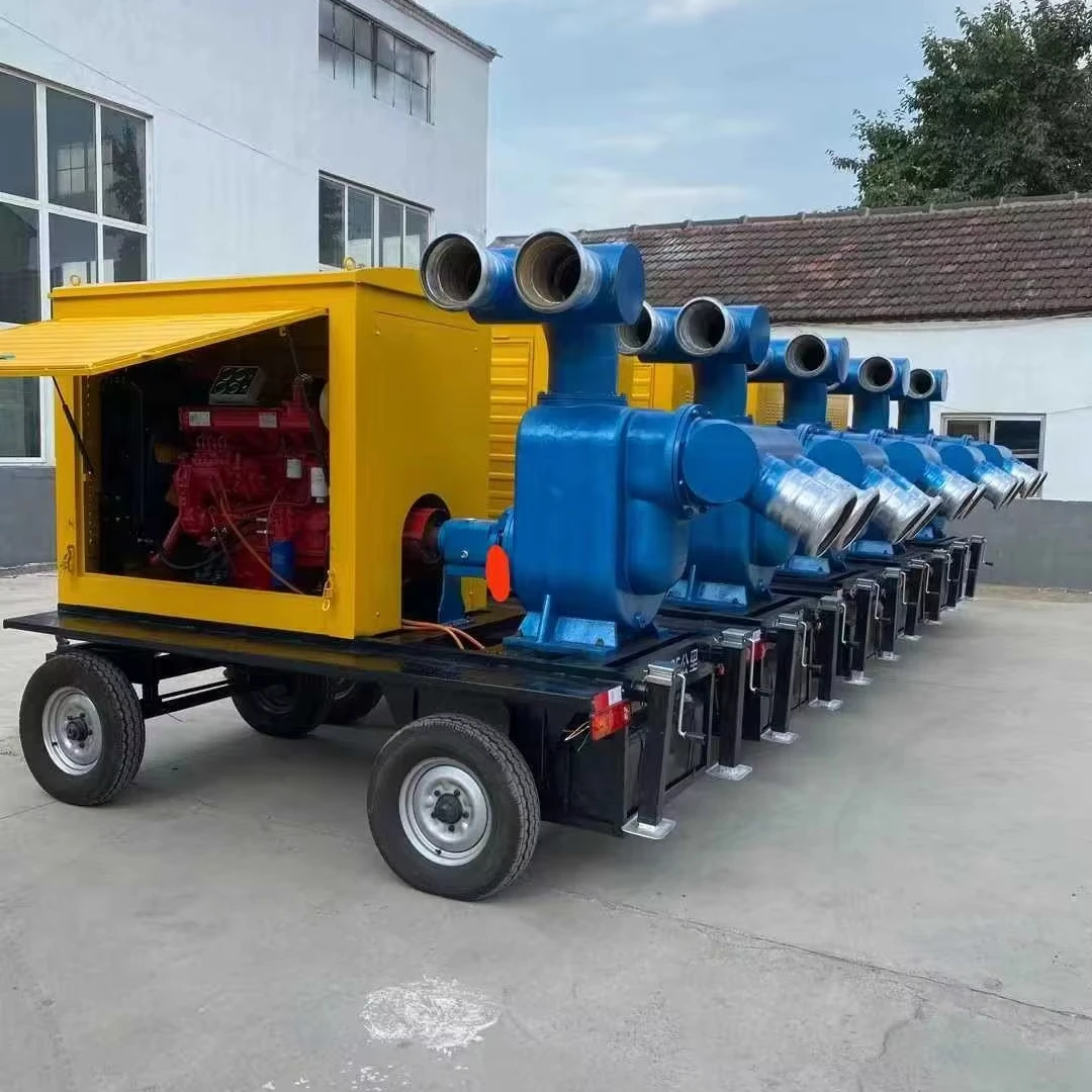 Customized Multistage Sectional Centrifugal Pump with the Ability to Transport Water at High Head