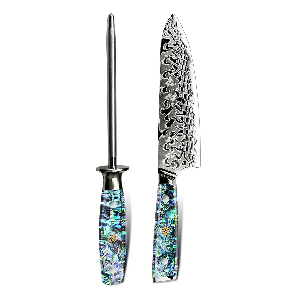 Custom Logo 67 Layer Vg10 Japanese Damascus 2pcs Chef Knife Set with Honing Steel