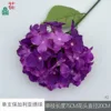 Hortensia búlgara individual XQ, morado oscuro