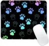 Patte de chien 3