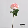Enlarged flower head-pink