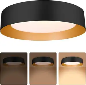 25W Indoor Lighting Simple Chandelier Ceiling Lamp Modern Dial Round Led Ceiling Lights Mounted Bedroom Living Room