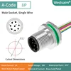M12-A-8P male M12*1.0