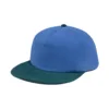 Bleu Vert