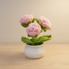 Finished red roses (3 pieces) small potted plants