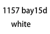 1157 bay15d white