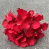 Hortensia à une tête avec branche rouge
