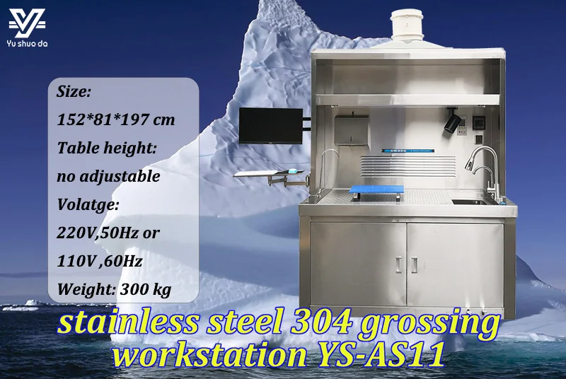 Dissection workstation