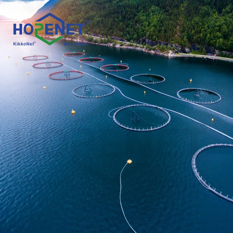 Fishing keep Cage, fishing basket