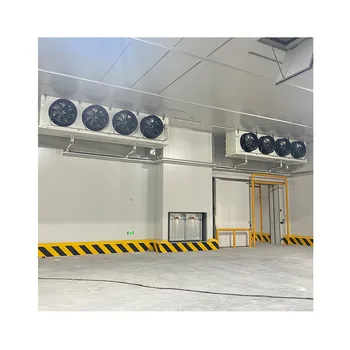Low Price Cold Store Room Container One Stop Solution Cold Room for Frozen Meat